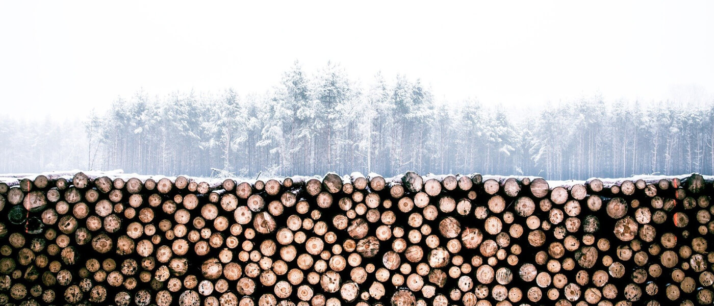 Экспресс-обзор мирового рынка леса и пиломатериалов